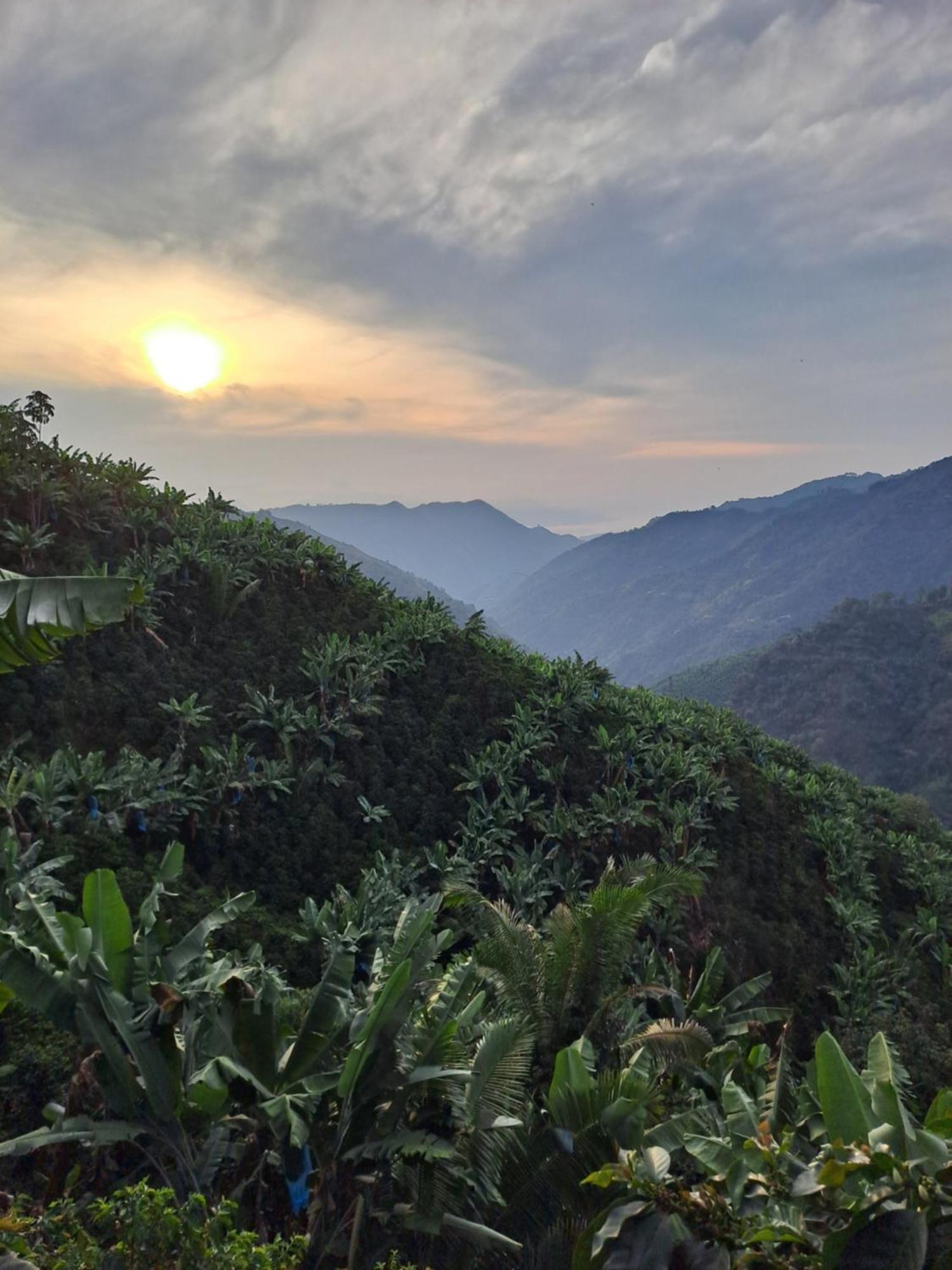 Finca La Manchuria Salgar  Buitenkant foto