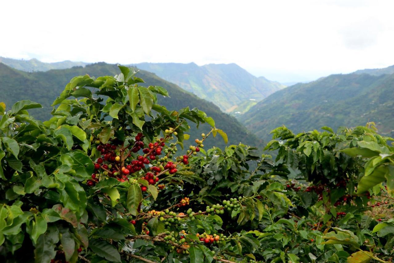 Finca La Manchuria Salgar  Buitenkant foto